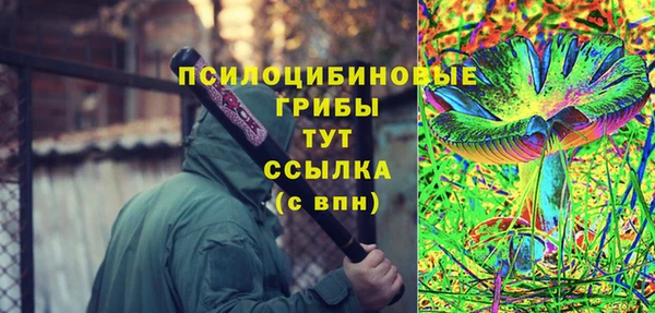 мдпв Бородино