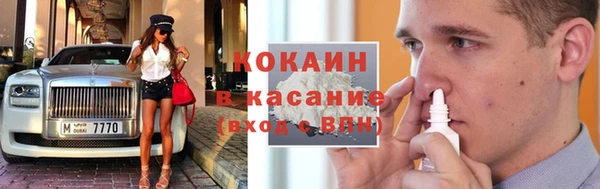 мдпв Бородино