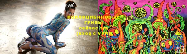 мдпв Бородино