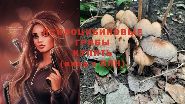 мдпв Бородино