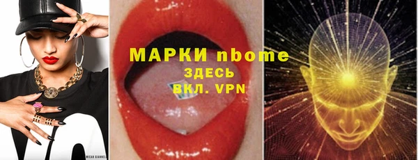 мдпв Бородино