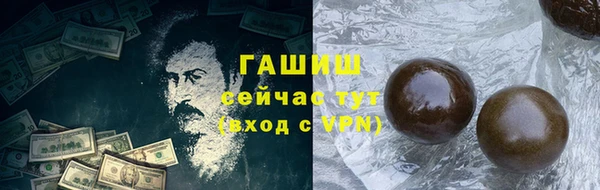 мдпв Бородино