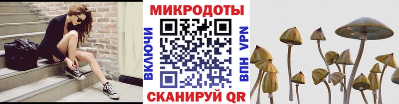 Галлюциногенные грибы Cubensis Новоржев