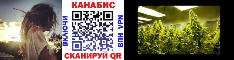 Купить где  Новоржев  Бошки Шишки гибрид 